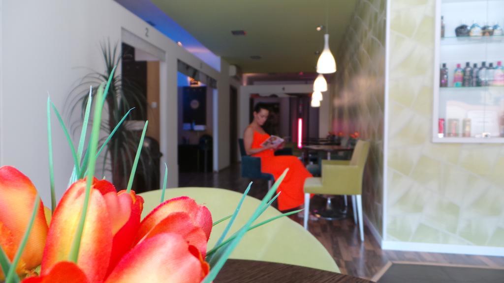 Bed and Breakfast Tulipan Panzio Komárom Zewnętrze zdjęcie