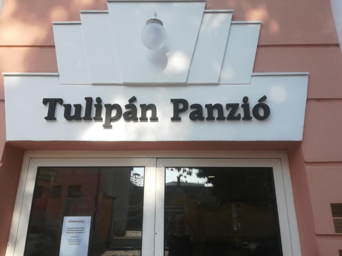 Bed and Breakfast Tulipan Panzio Komárom Zewnętrze zdjęcie