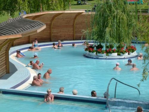 Bed and Breakfast Tulipan Panzio Komárom Zewnętrze zdjęcie